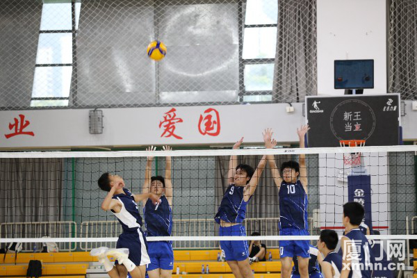 热血沸腾！这些队伍拿了2024年厦门市中小学生排球锦标赛的冠军(图5)