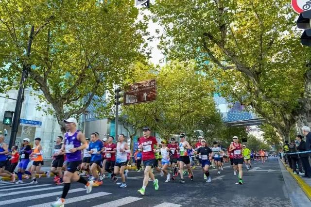 一图读懂！上海市运动促进健康计划（2024-2026）发布(图1)