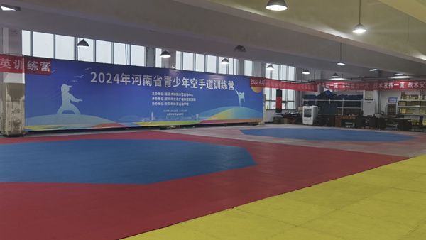 2024年河南省青少年空手道训练营在安阳开营(图2) 2024年河南省青少年空手道训练营在安阳开营(图2)