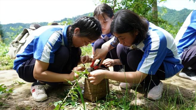天全中学至善教育巡礼系列至善教育 · 大雅天成(图4)