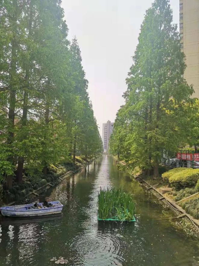 上海古北99官方发布:古北99时代笔触绘就上海清雅画卷!(图19) 上海古北99官方发布:古北99时代笔触绘就上海清雅画卷!(图19)